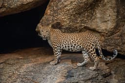 Leopard country in Jawai
