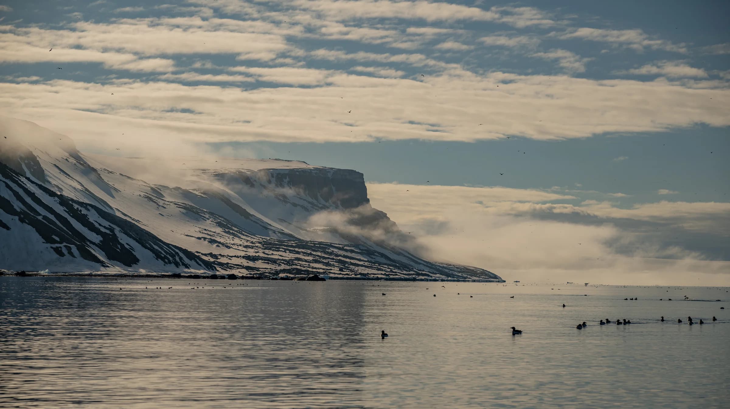 Mountains and an Arctic fjord in Svalbard